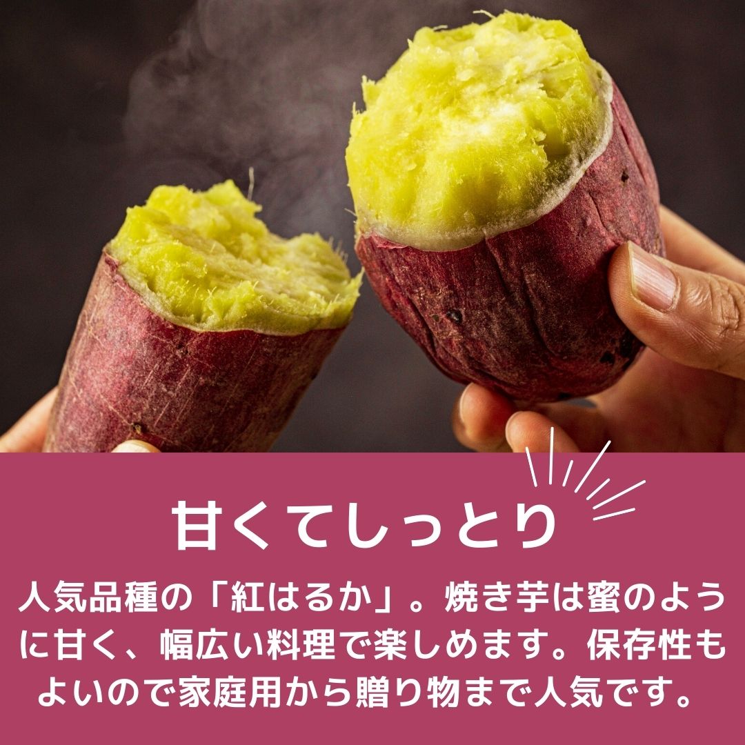 今だけ大特価！】 干し芋120g×3袋セット | デリシャスファーム